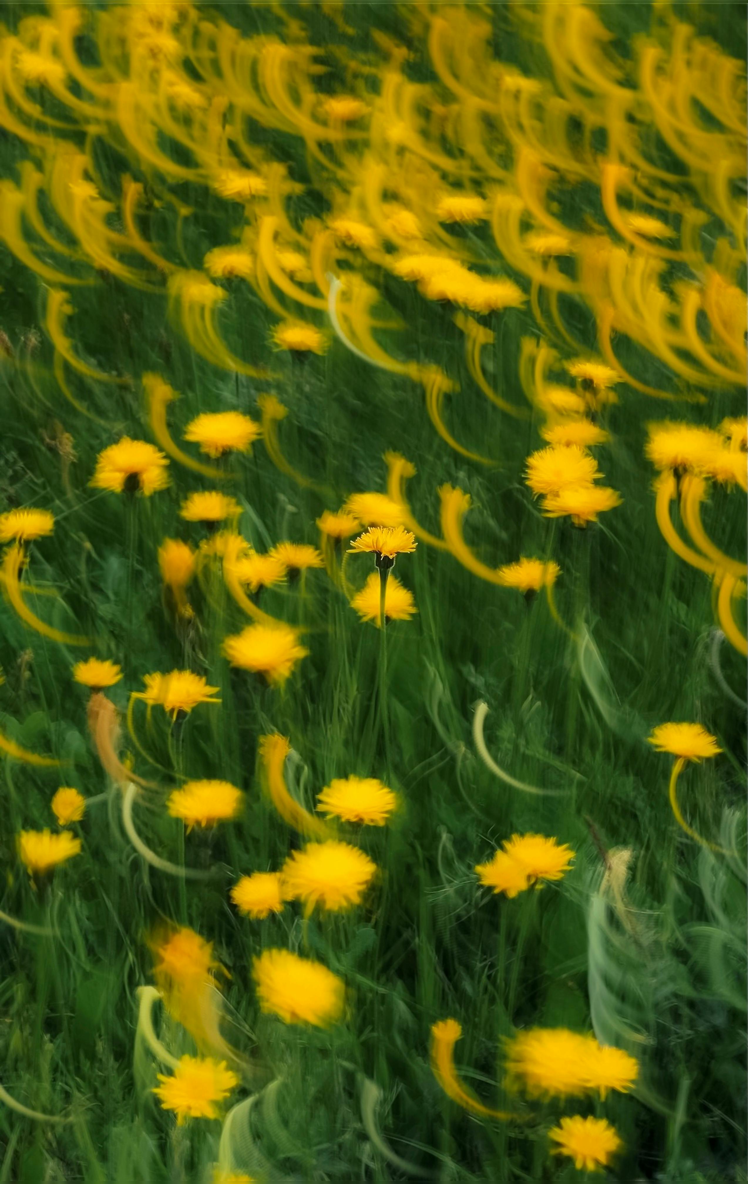 EPR: What You Need to Know